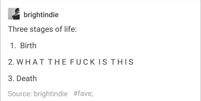 Tumblr Posts That Will Make You Laugh And Scratch Your Head At The Same Time (66 pics)