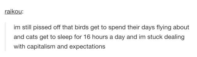 Tumblr Posts That Will Make You Laugh And Scratch Your Head At The Same Time (66 pics)