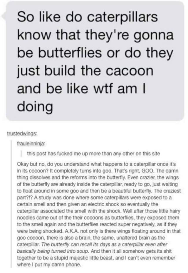Tumblr Posts That Will Make You Laugh And Scratch Your Head At The Same Time (66 pics)