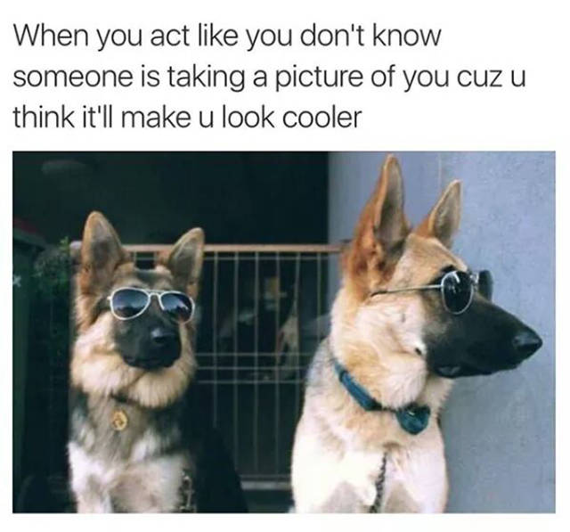 Funny Memes (56 pics)