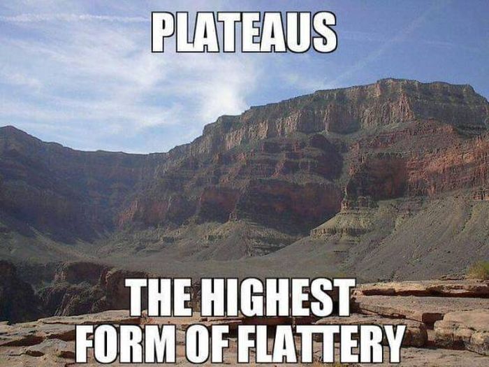 Funny Memes (56 pics)