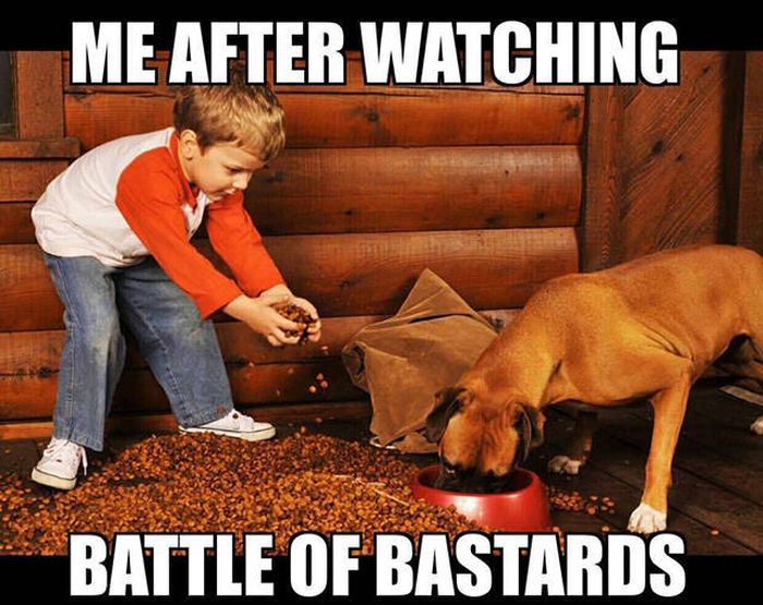 Funny Memes (56 pics)
