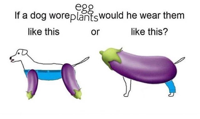 Funny Memes (56 pics)