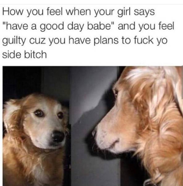 Funny Memes (56 pics)