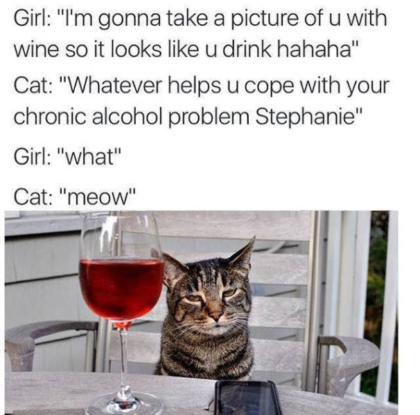 Funny Memes (56 pics)