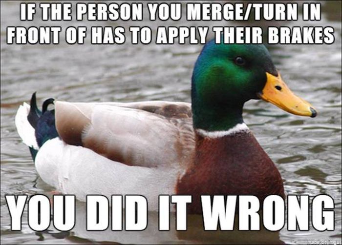 Funny Memes (56 pics)