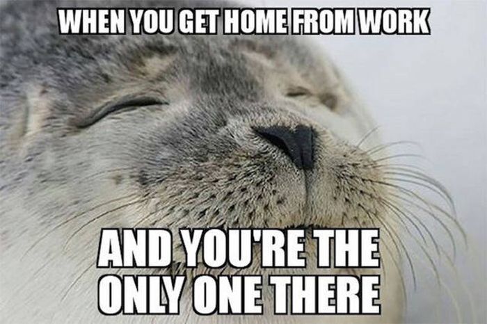 Funny Memes (56 pics)