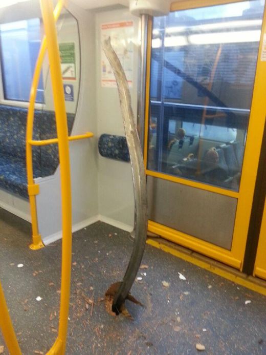 Passengers Avoid Disaster On Australian Train (3 pics)