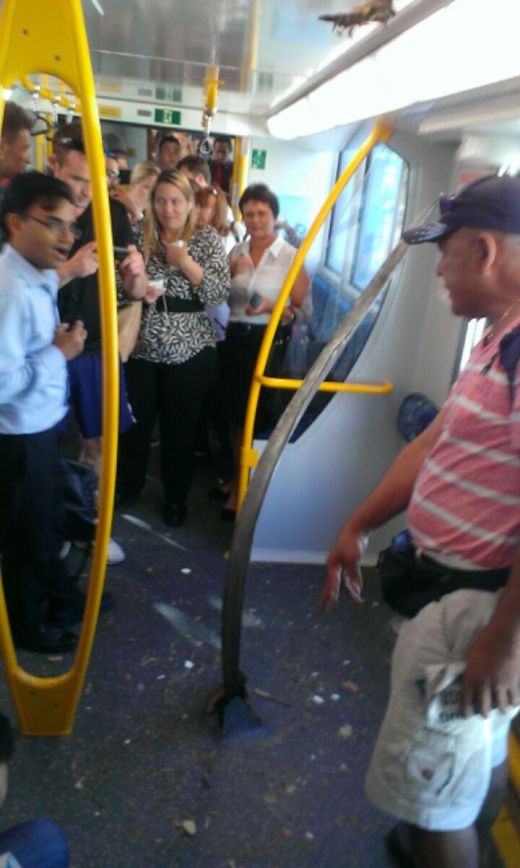 Passengers Avoid Disaster On Australian Train (3 pics)