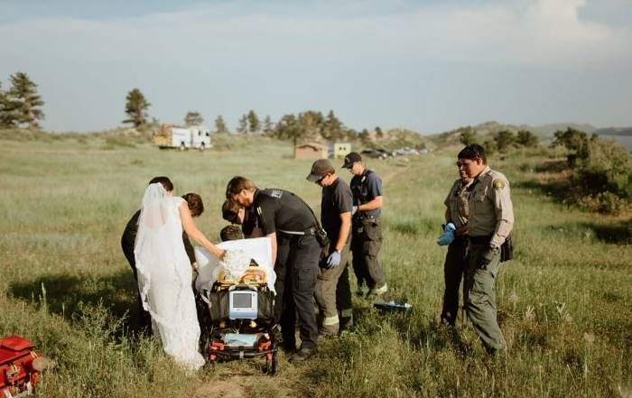 Wedding Photo Shoot Goes Wrong After A Snake Makes A Surprise Appearance (10 pics)