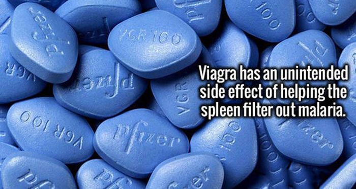 Feed Your Hunger For Knowledge With These Fascinating Facts (20 pics)