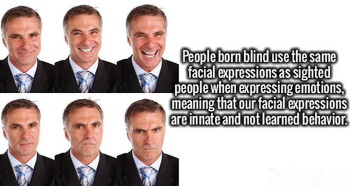 Feed Your Hunger For Knowledge With These Fascinating Facts (20 pics)