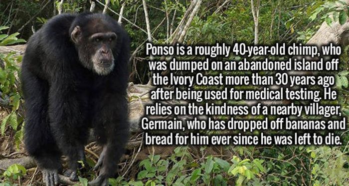 Feed Your Hunger For Knowledge With These Fascinating Facts (20 pics)