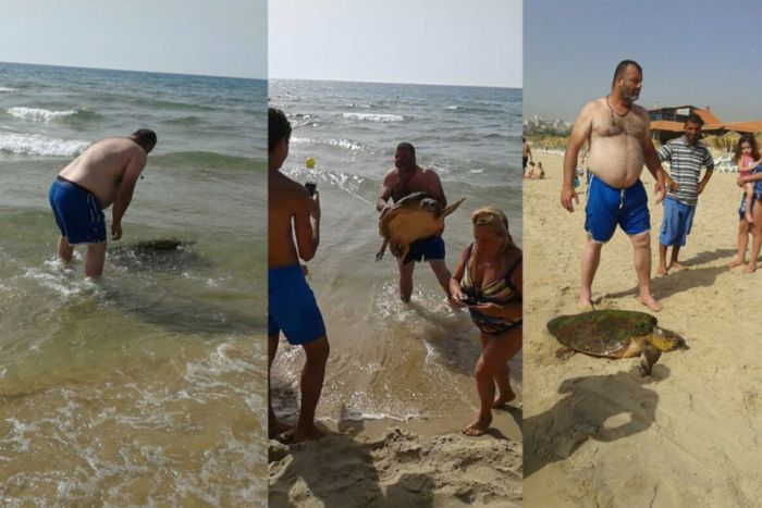 Turtle Gets Dragged From The Sea So People Can Take Selfies (4 pics)