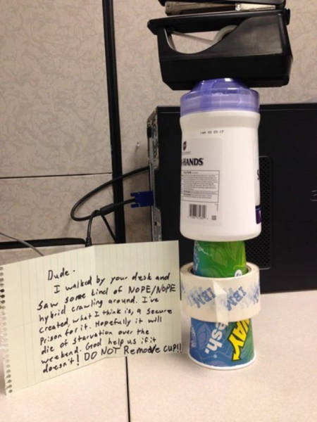 Work Fails & Job LOLs. Part 67 (40 pics)