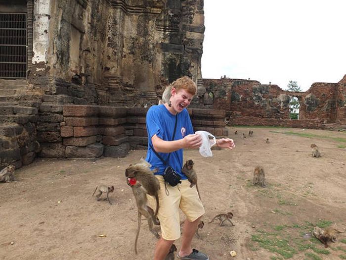 Everything Is A Little Weirder In Thailand (43 pics)