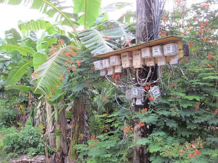 Everything Is A Little Weirder In Thailand (43 pics)