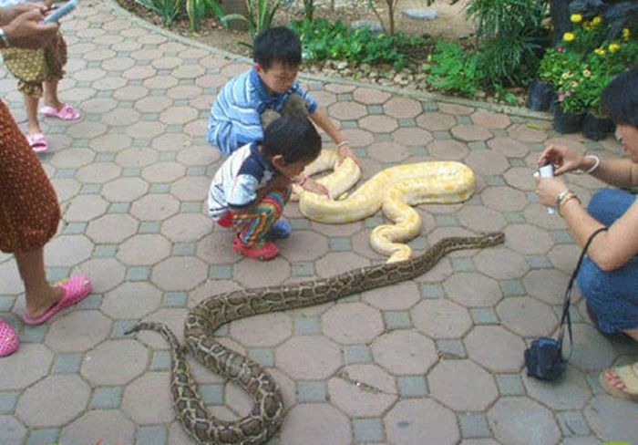Everything Is A Little Weirder In Thailand (43 pics)