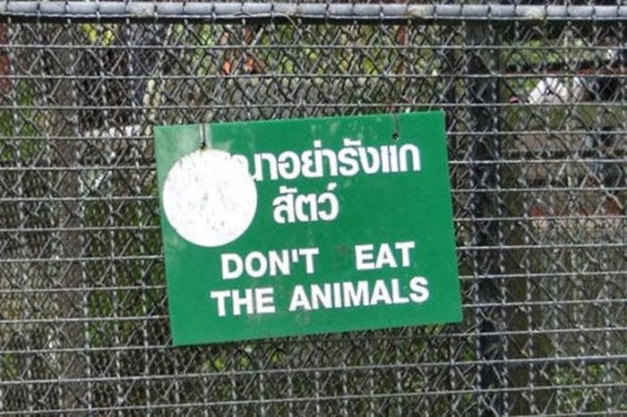 Everything Is A Little Weirder In Thailand (43 pics)