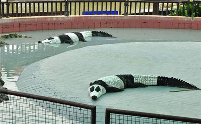 Everything Is A Little Weirder In Thailand (43 pics)
