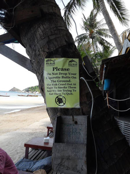 Everything Is A Little Weirder In Thailand (43 pics)