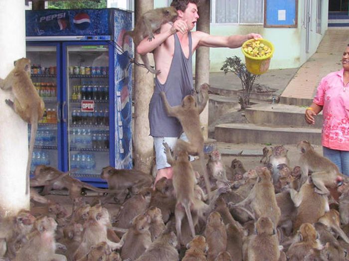 Everything Is A Little Weirder In Thailand (43 pics)