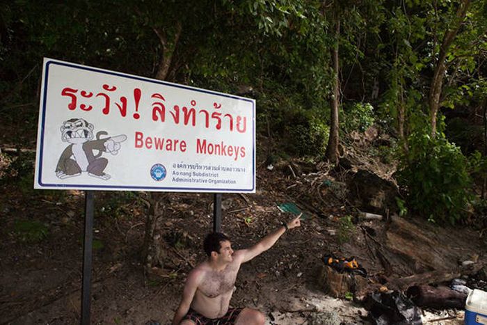 Everything Is A Little Weirder In Thailand (43 pics)
