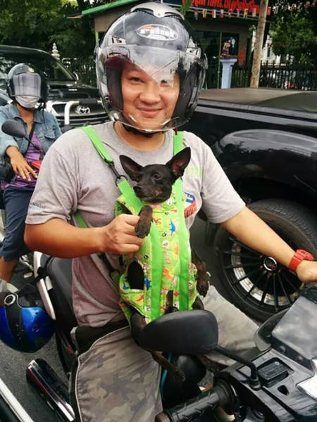 Everything Is A Little Weirder In Thailand (43 pics)