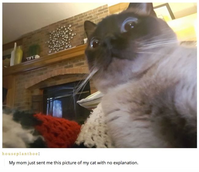 Photos That Prove Mom Jokes Can Be Funny Too (18 pics)