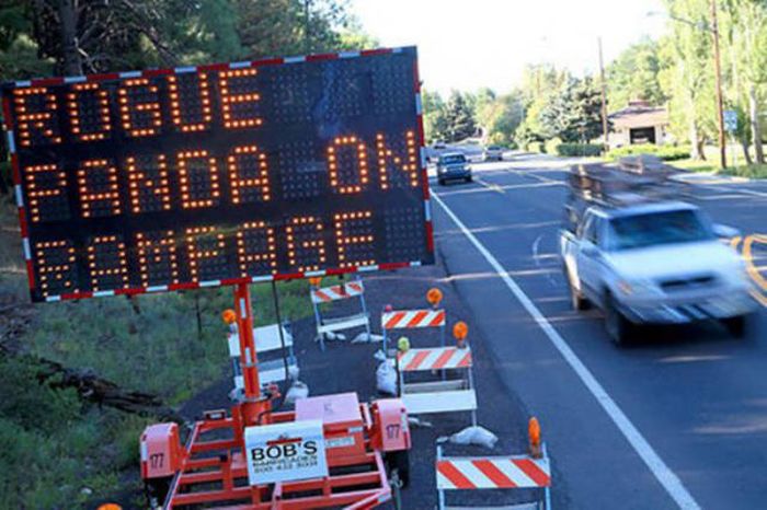 Situations That Got Way Too Real Way Too Fast (44 pics)