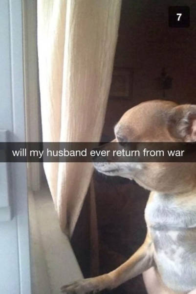 Funny Snapchats To Help You Kill Some Time (39 pics)