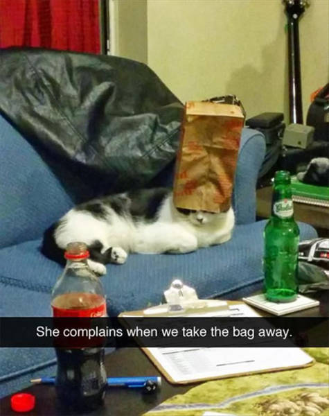 Funny Snapchats To Help You Kill Some Time (39 pics)