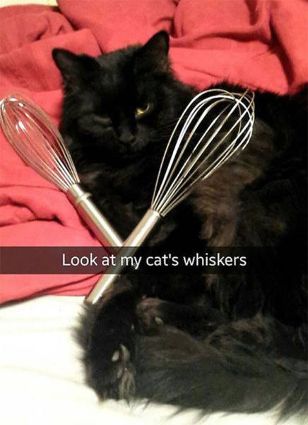 Funny Snapchats To Help You Kill Some Time (39 pics)