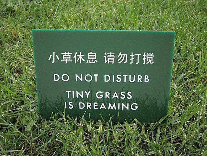 Hilarious Yard Signs That Are Impossible To Ignore (30 pics)