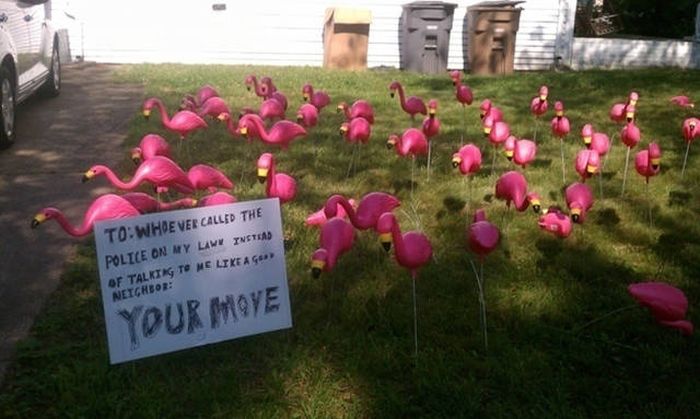 Hilarious Yard Signs That Are Impossible To Ignore (30 pics)