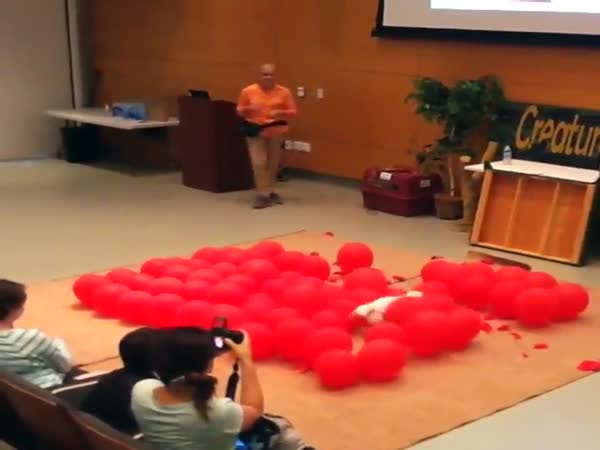 Awesome Dog Sets Guiness World Record For Popping Balloons
