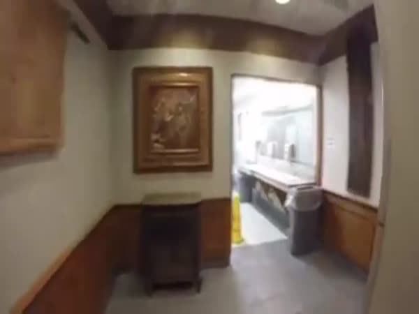 Secret Toilet Door