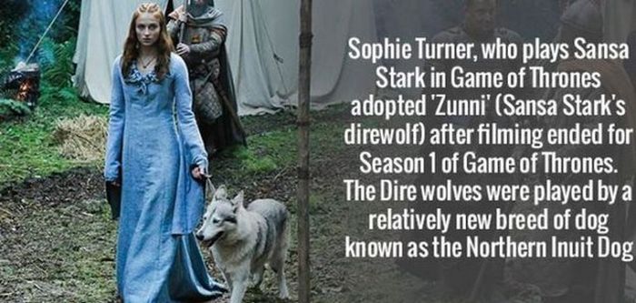 Random Celebrity Facts That Will Amuse You (14 pics)