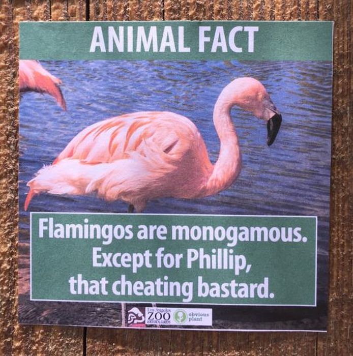 Fake Animal Facts That Were Found At The Los Angeles Zoo (9 pics)