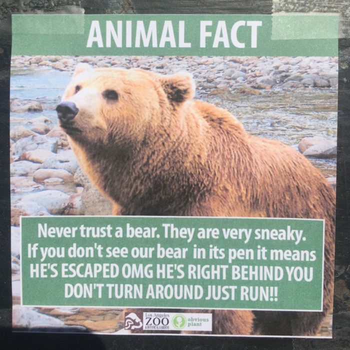 Fake Animal Facts That Were Found At The Los Angeles Zoo (9 pics)