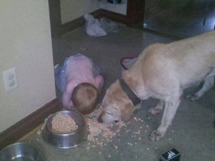 Kids Are The Reason Why No One Can Ever Have Nice Things (40 pics)