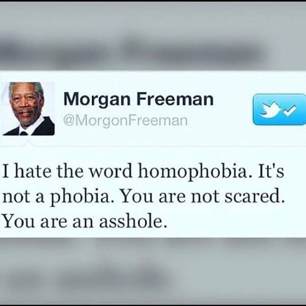 It's Pointless To Argue So Just Let The Truth Set You Free (46 pics)