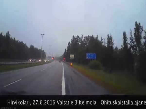 Car Hits a Moose