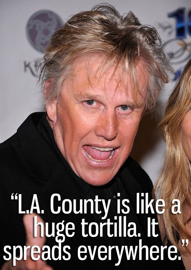 A Collection Of Crazy Quotes Courtesy Of Gary Busey (15 pics)