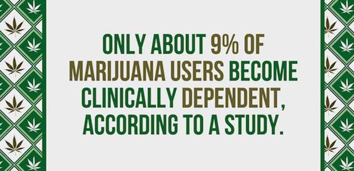 Mind Blowing Facts You Need To Know About Marijuana (24 pics)