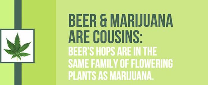Mind Blowing Facts You Need To Know About Marijuana (24 pics)