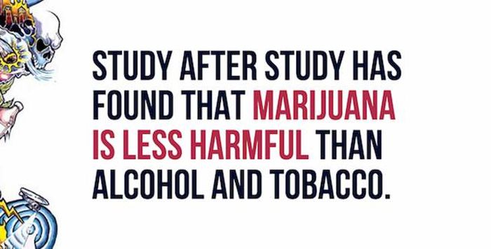 Mind Blowing Facts You Need To Know About Marijuana (24 pics)