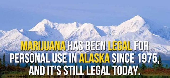 Mind Blowing Facts You Need To Know About Marijuana (24 pics)