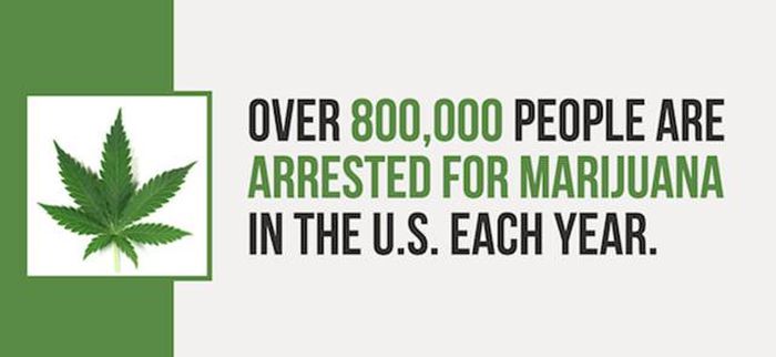 Mind Blowing Facts You Need To Know About Marijuana (24 pics)