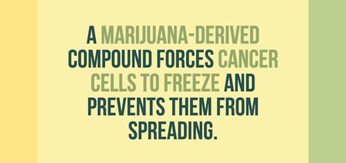 Mind Blowing Facts You Need To Know About Marijuana (24 pics)